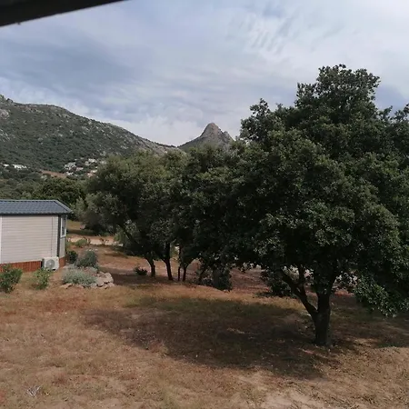 Apartament Havre De Paix Entre Calvi Et L Ile Rousse Lumio (Corsica)